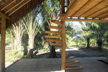 Photo 32