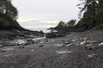 Photo 33