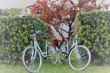 Bicycling