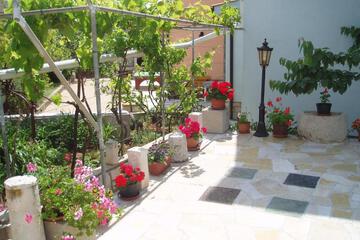 Photo 62