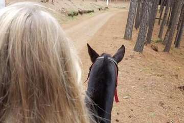 Horseback riding