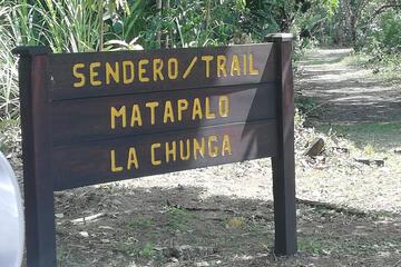 Photo 44