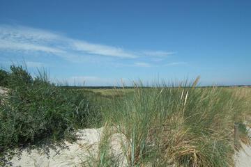 Photo 39