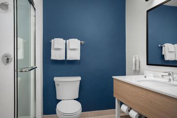 Bathroom shower