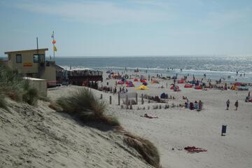 Photo 31