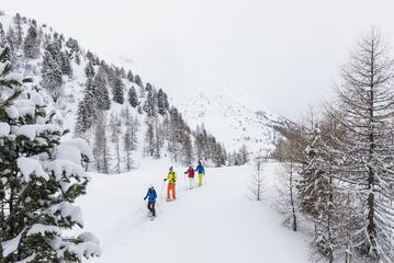 Snowshoeing