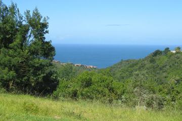 Surrounding environment