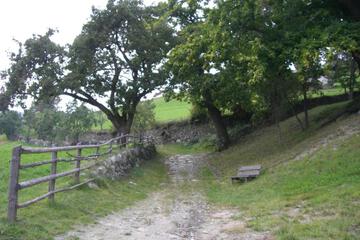 Photo 37