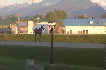 Mountain view
