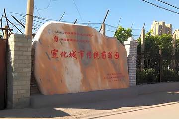 Photo 11