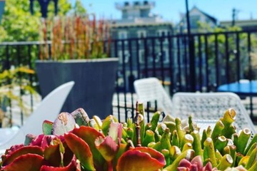 Sundeck
