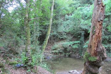 Photo 29