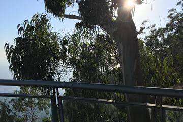 Photo 36