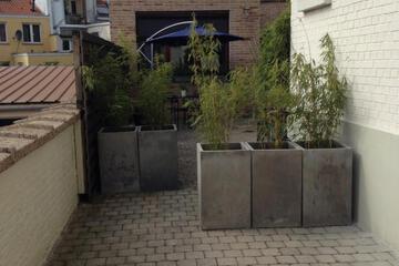 Photo 36