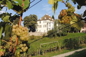 Winery