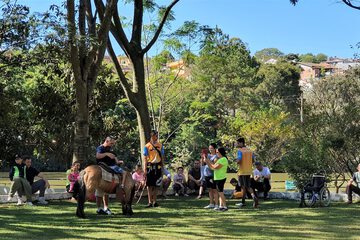 Horseback riding