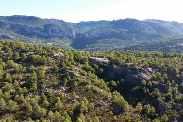 Photo 30