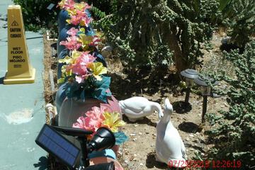 Photo 45