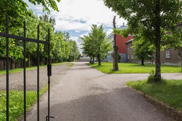 Photo 23