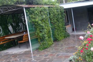 Photo 42