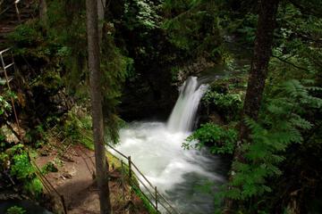 Photo 35