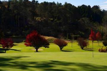 Surrounding environment