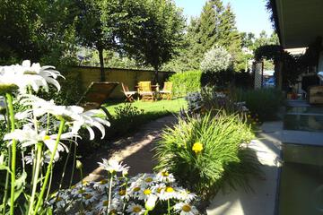 Photo 62