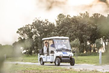 Golf cart