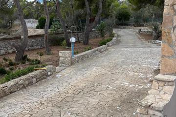 Photo 24