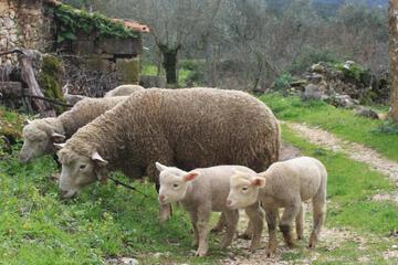 Photo 30
