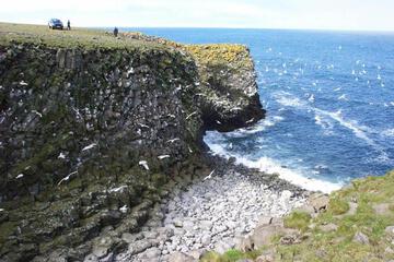 Photo 24