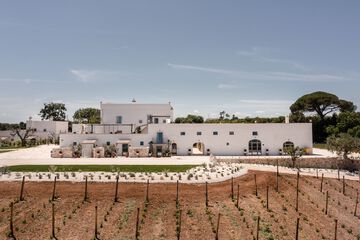 Vineyard