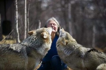 Game viewing