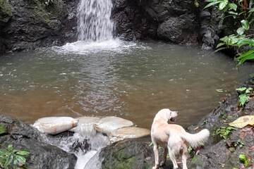 Hiking