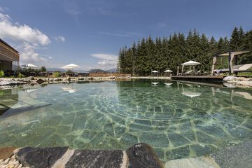 Natural pool