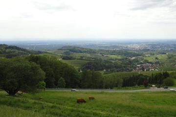 Photo 34