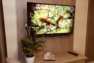 Television