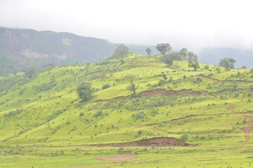 Mountain view
