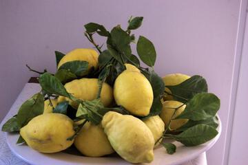 Photo 46
