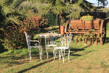 Garden