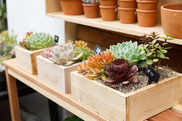 Hotel Exterior 108 of 112