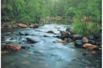 Carnarvon Gorge Wilderness Lodge 2