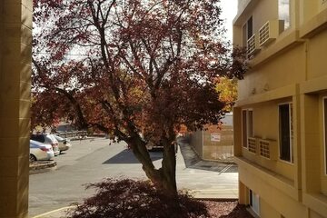 Property Grounds 32 of 32