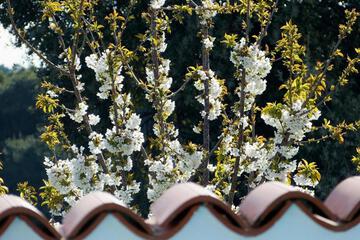 Photo 69