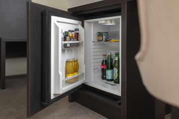 Mini-refrigerator