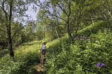 Hiking