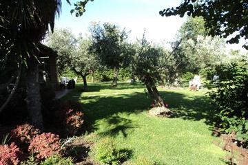 Photo 65