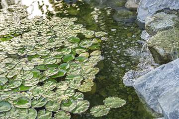 Hotel Exterior 29 of 33