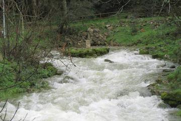 Photo 49