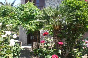 Photo 46